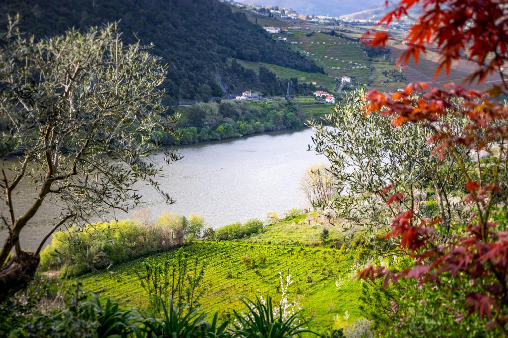 Fraga Douro House, Douro Valley Resende Extérieur photo